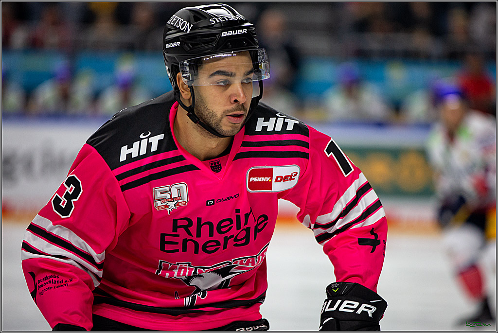 PENNY DEL; Koelner Haie- Eisbaeren Berlin; Koeln, 16.10.2022